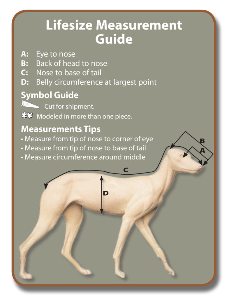 measure guide