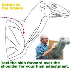 Skin alignment diagram