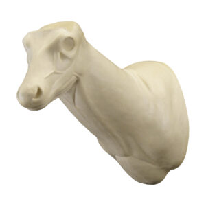 Whitetail Coues Semi-Sneak A. 5 3/4 x C. 15"