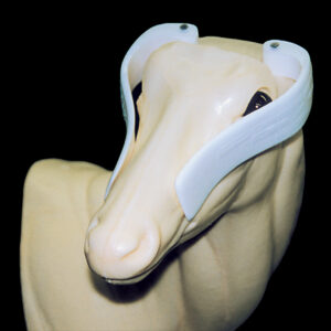 Eye Horn Tool