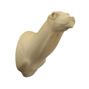 Blacktail Specialty Pose Semi-Raised OM 6 3/8" x 13" x 23"