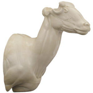 Lancaster's Nelson Bighorn Upright Wall Mount