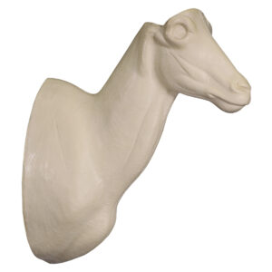 Aoudad / Barbary Upright Wall Mount