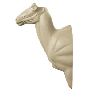 Aoudad Upright Wall Mount 9 1/4" x 13 1/2" x 22"