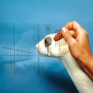 Acetate Graphs for Eye Symmetry