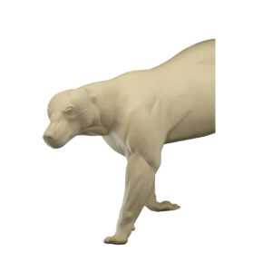 Black Bear Charging Upright Extra Large 3/4 Size