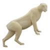 Cougar Standing Upright on All Four - Thumbnail Image 2