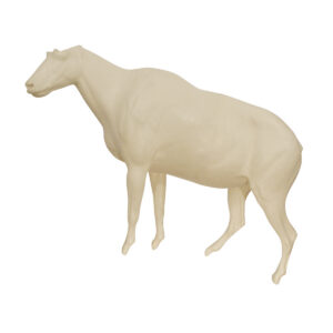 Mountain Goat Walking On Elevating Terrain