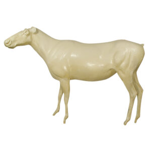 Caribou Standing - 3 Sizes Available
