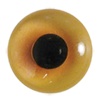 Van Dyke Pheasant Eyes with Flat Back - No Wire