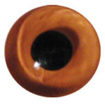 Van Dyke Orange Eyes on Wire