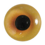 Van Dyke Pheasant Eyes On Wire