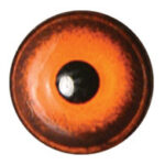 Tohickon Orange Feather Banded Aspheric Eyes