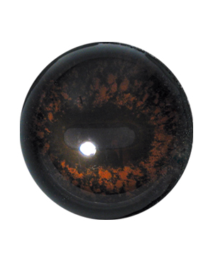 Tohickon Deer Eyes Aspheric