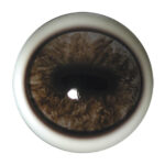 Tohickon Aspheric Moose Eyes with White Band