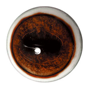 Tohickon Elk Eye Aspheric with White Band 28/36mm