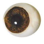 Tohickon Forward Looking Bear Eye 16mm Iris
