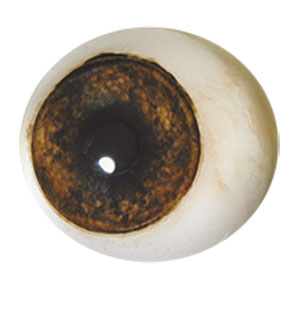 Tohickon Forward Looking Bear Eye 16mm Iris