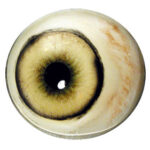 Tohickon Cougar Forward Looking 26mm Iris
