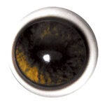 Tohickon Deer Eyes OpTech Aspheric