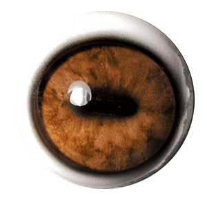 Tohickon Axis Deer OpTech Aspheric Eyes