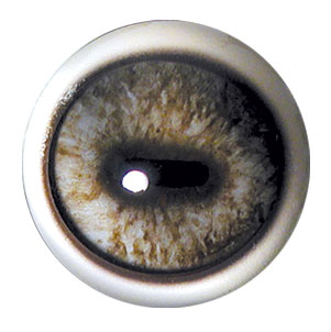 Tohickon Caribou OpTech Aspheric