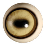 Tohickon Mouflon Sheep Aspheric Eyes OpTech