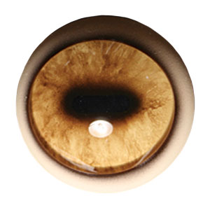 Tohickon Wildebeest Aspheric Eyes OpTech