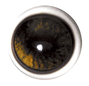 Tohickon Deer Eyes OpTech Aspheric