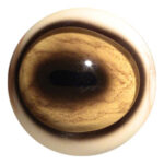 Tohickon IQ Series Wildebeest Eyes