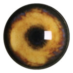 Payers Wolf Eye No White Band
