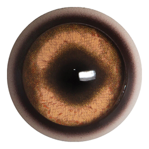 Payer Boar Eye with White Band