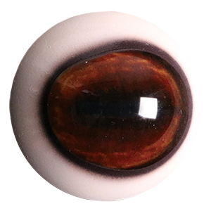Payer Deer Eye with Defined Cornea and White Band