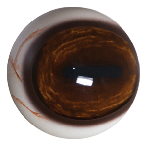 Payer Deer Eye with Pre-Rotated with White Band and Veins