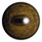 Tohickon Mountain Goat Quantum-VX Prestige Eyes