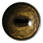 Tohickon Wildebeest Quantum-VX Prestige Eyes
