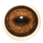Tohickon Quantum-VX Prestige Elk Eyes with White Band