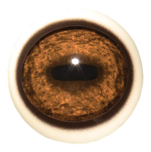 Tohickon Quantum-VX Prestige Elk Eyes with White Band