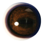 Tohickon Quantum-VX Prestige Deer Eyes Pre-Rotated