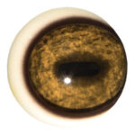 Tohickon Mountain Goat Quantum-VX Prestige Pre-Rotated Eyes