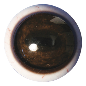 Tohickon Quantum-VX Prestige Deer Eyes Pre-Rotated with Veins