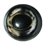 Rainbow Trout Flex Eyes