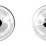 Fish Flint Eye Lense