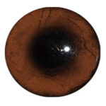 Van Dyke Concave/Convex Bear Eye