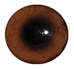 Van Dyke Concave/Convex Bear Eye
