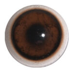 Van Dyke Boar Eye Concave/Convex with White Band