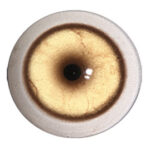 Van Dyke Coyote Concave/Convex Eyes with White Band