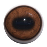 Van Dyke Aspheric Elk Eyes with White Band