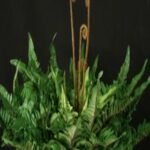 Artificial Foliage