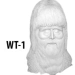 WT1